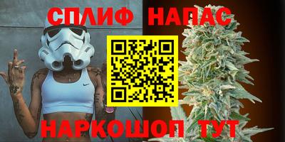 дурь Будённовск
