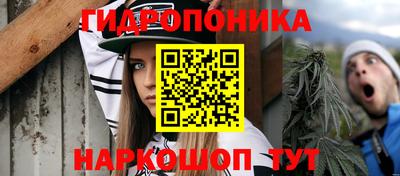гашик Кинель