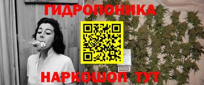 дурь Будённовск