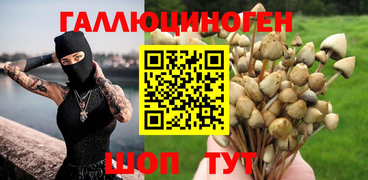 Галлюциногенные грибы ЛСД  Псилоцибиновые грибы ЛСД  Кореновск  Вход с VPN 