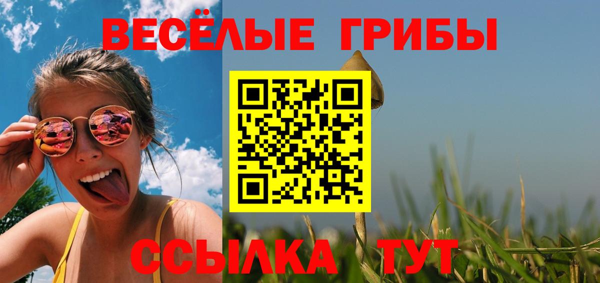 Галлюциногенные грибы Psilocybine cubensis Кореновск